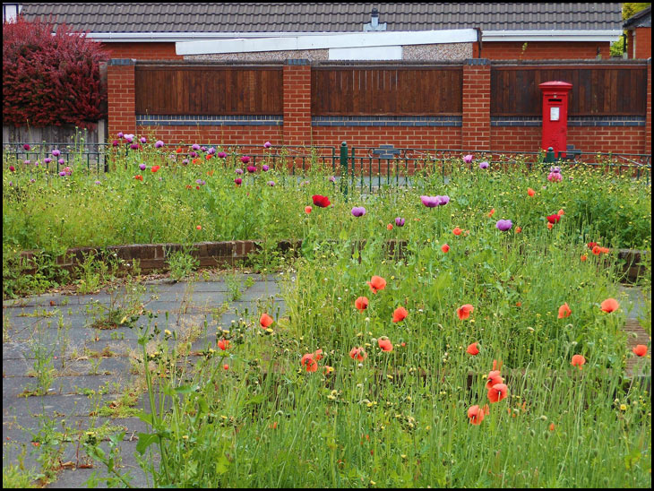 The actions of a guerrilla gardener