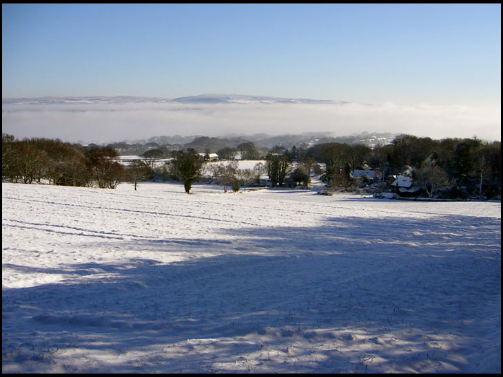 Winter View