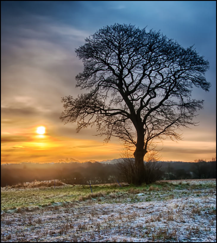 Sunrise