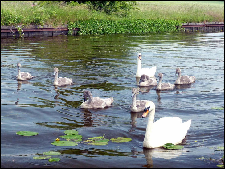 Family outing