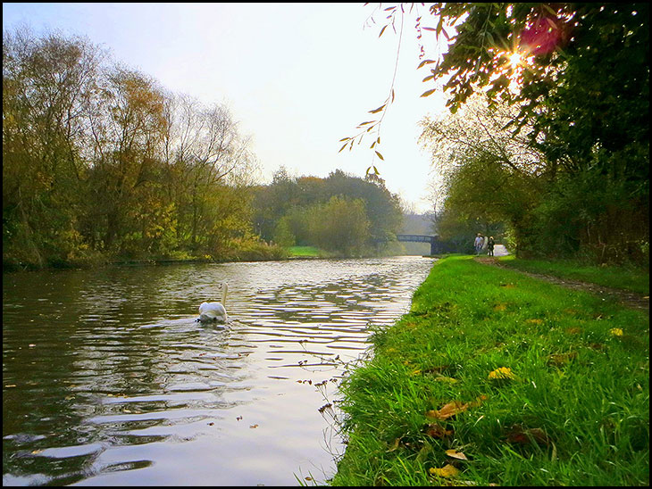 Autumn morning