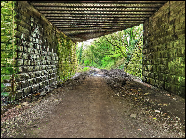 Bridge Under the Canal