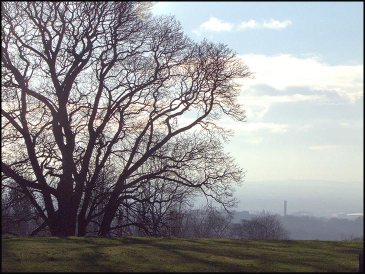 Heinz chimney