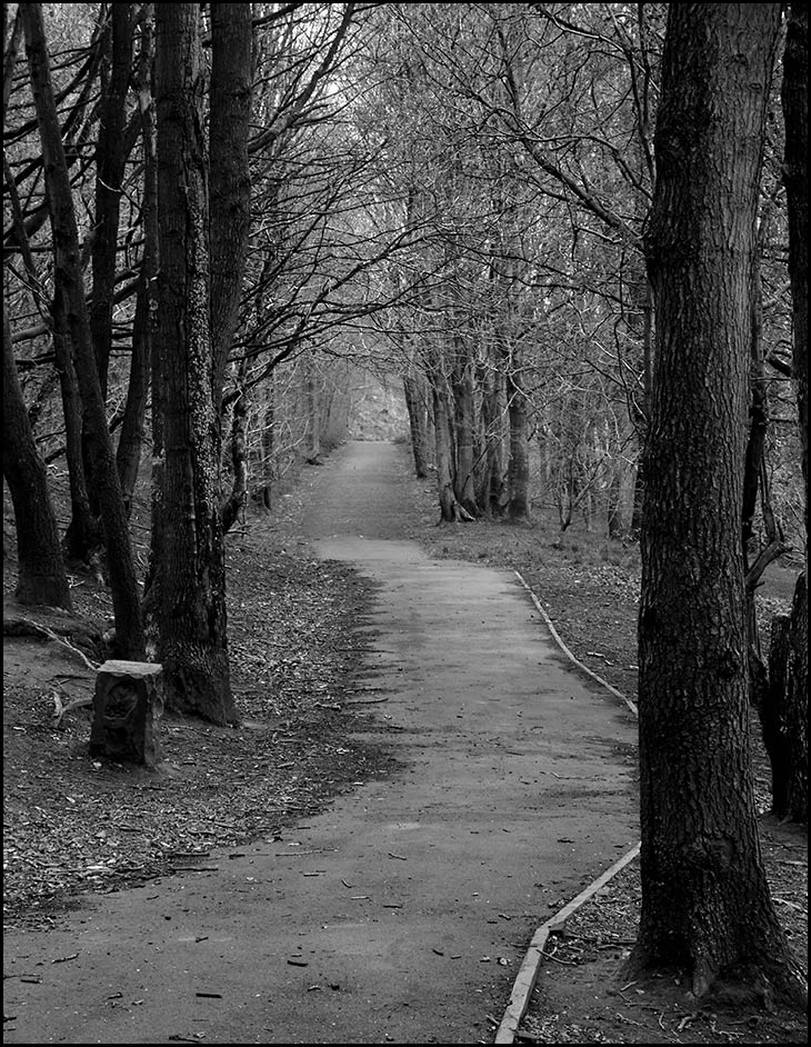 Path to Copperas Lane