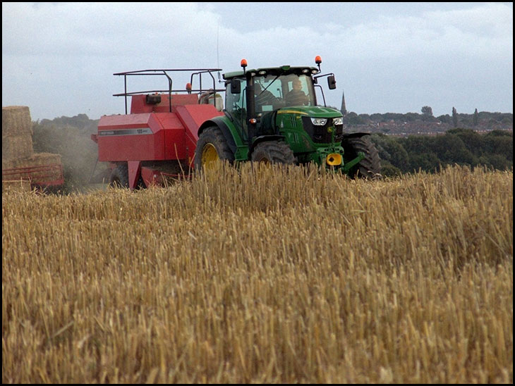 Hic Bibi Harvest