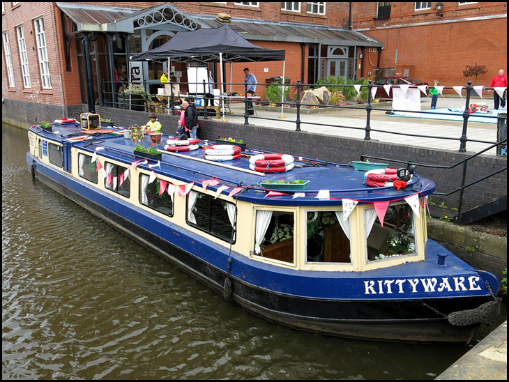 Kittywake