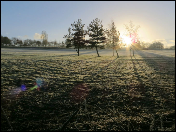 Sun and Shadows