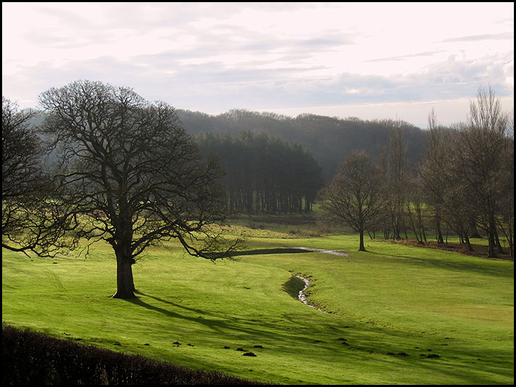 Golf Course