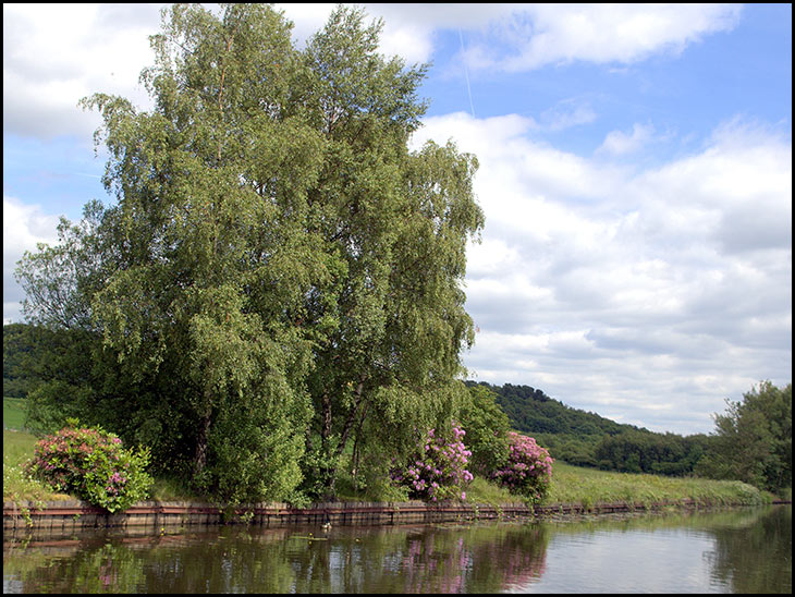 L&L Canal, New Springs