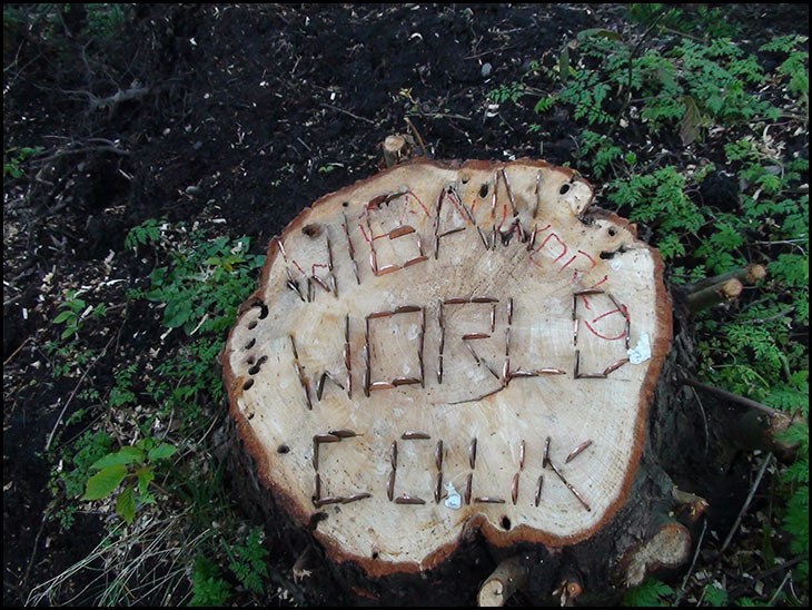 wiganworld tree stump