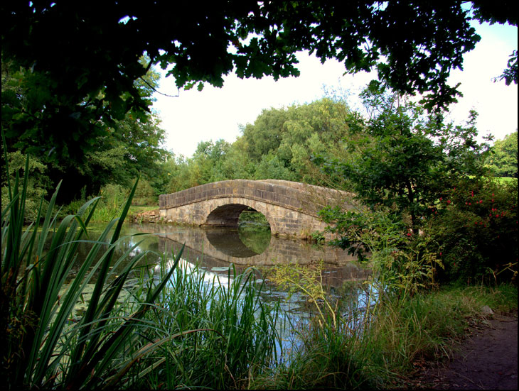 Many pick bridge