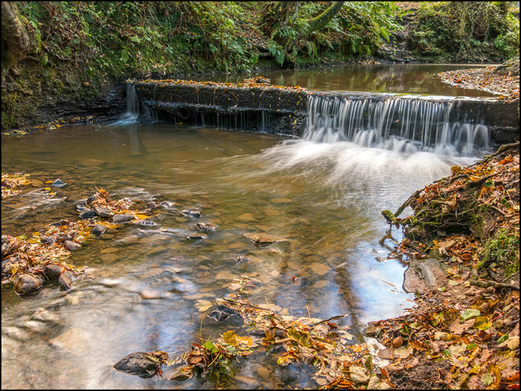 Borsdane Brook