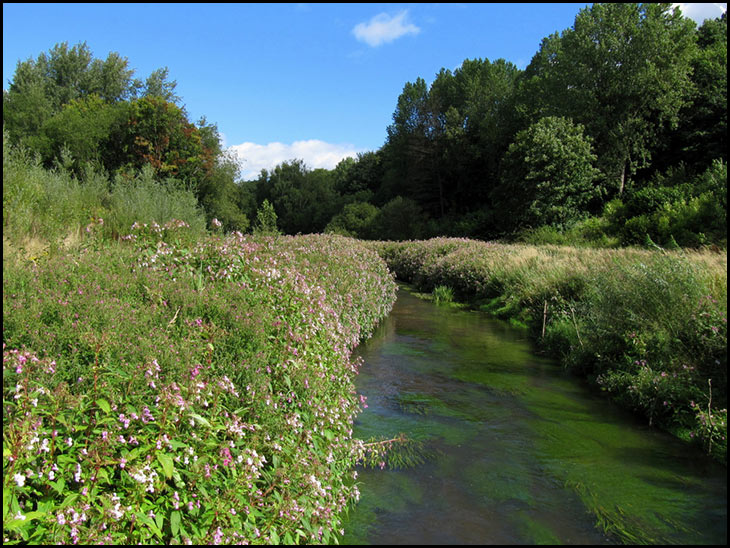 River Douglas