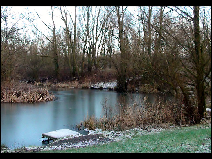 Fishing Pond