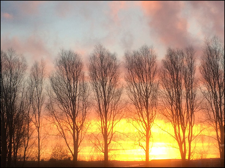 Sunrise