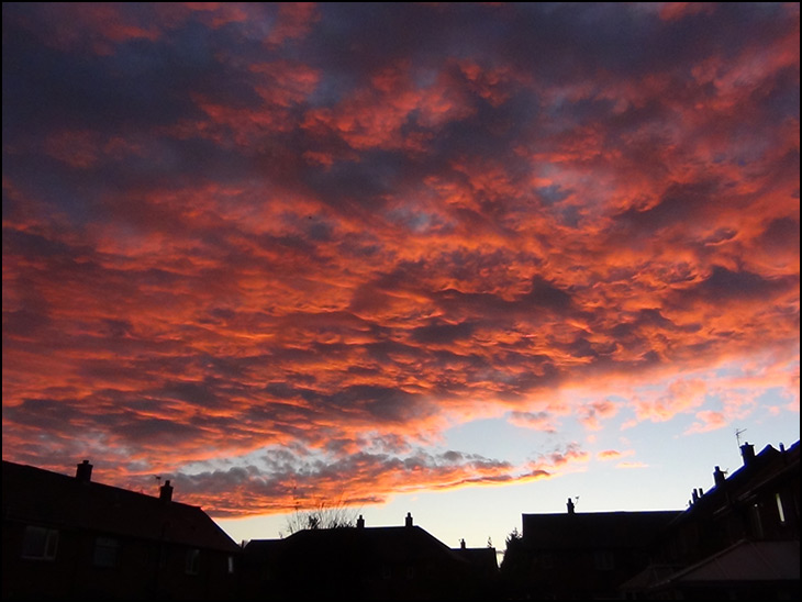 Early evening sky