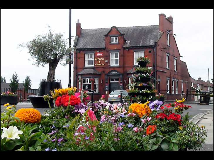 Shevington in Bloom