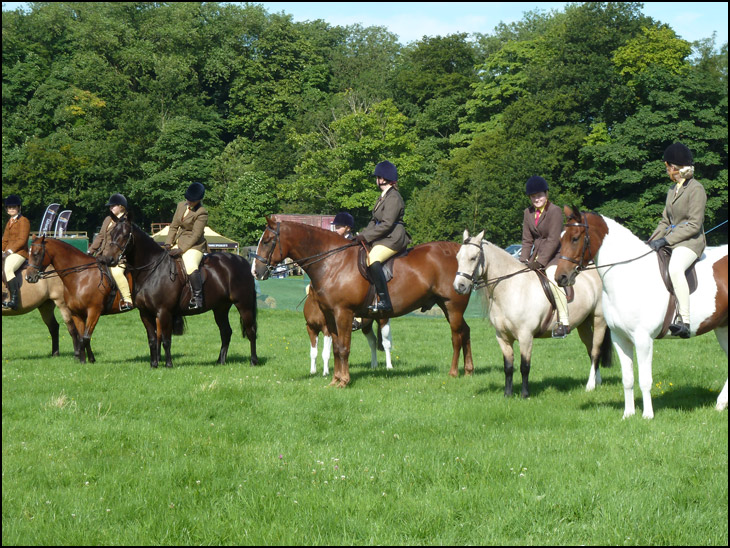 Haigh Show (2 of 2)