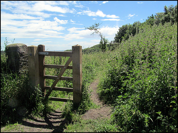 A fine gate!