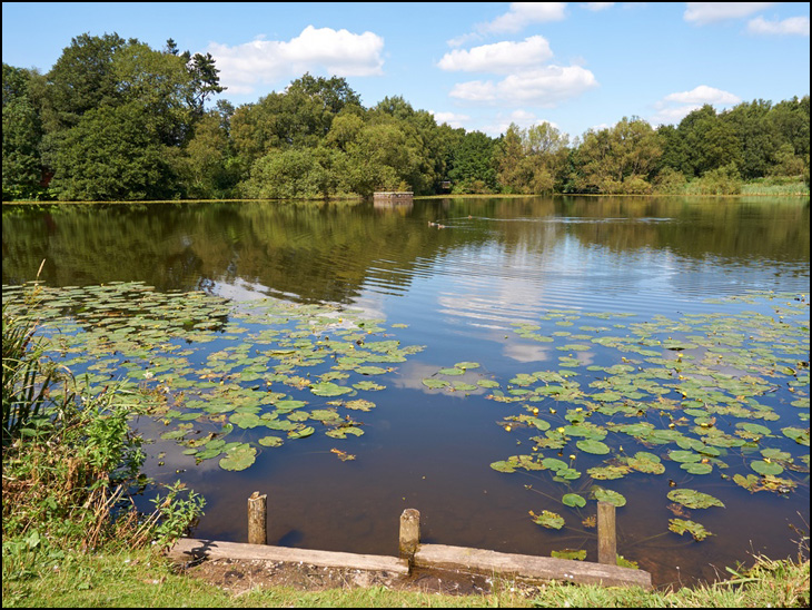 Worthington Lakes