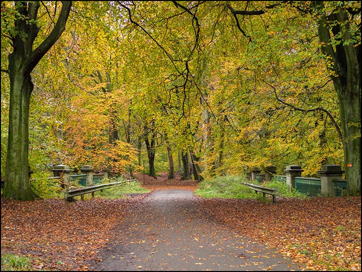 Autumn 