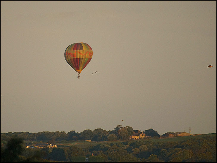 Balloon