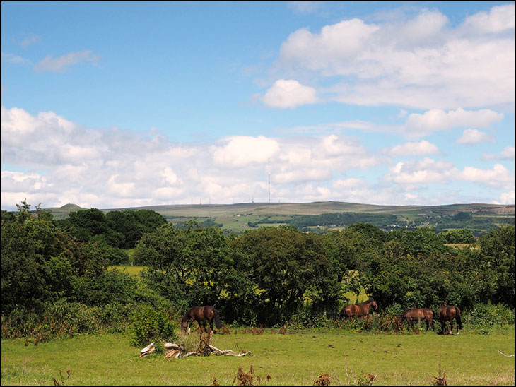 Blackrod Landscape