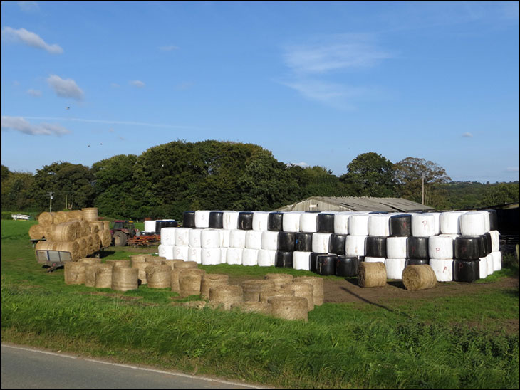 Farm