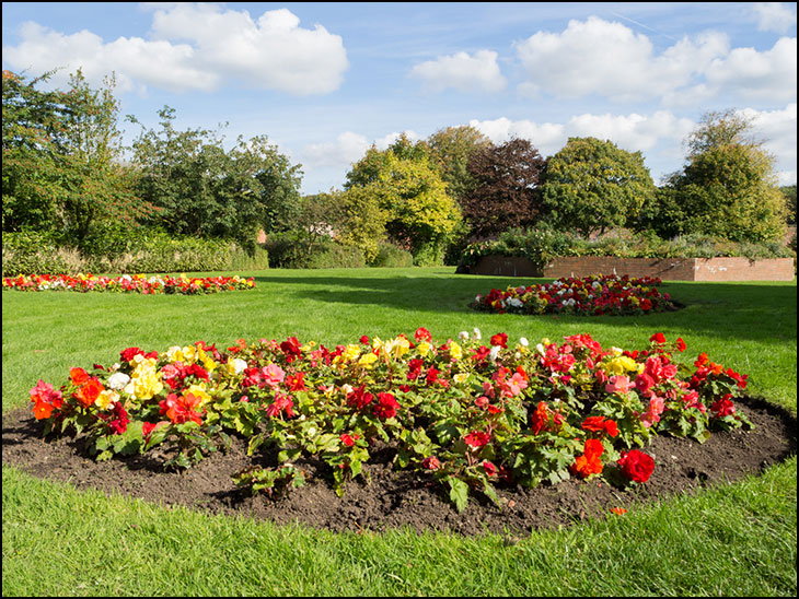 Flower beds