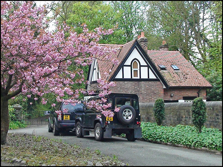 Cottage