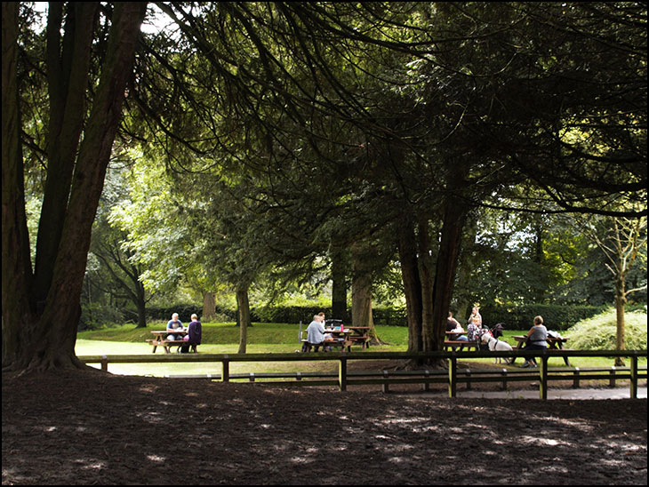 New picnic area