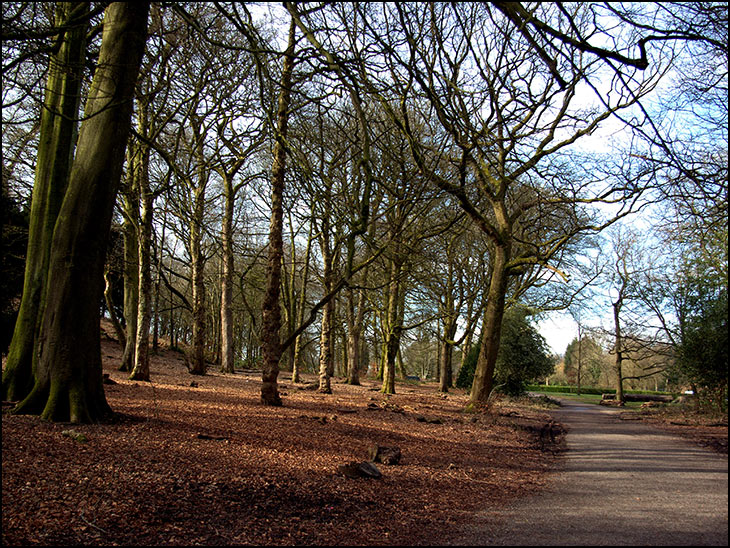 Haigh woodland park