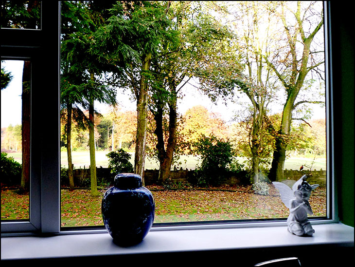 Kitchen window, autumn