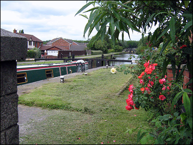 Rose Bridge