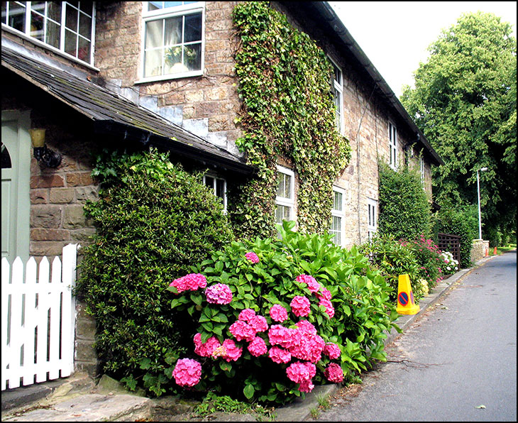 Cottages