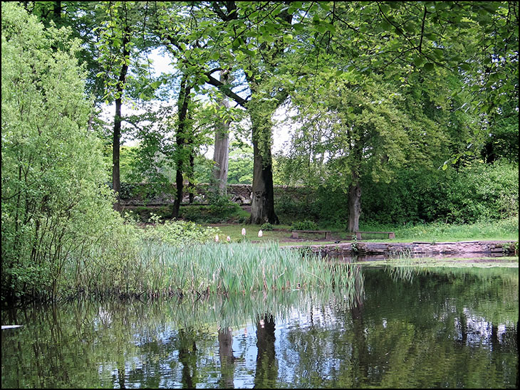 Swan pond