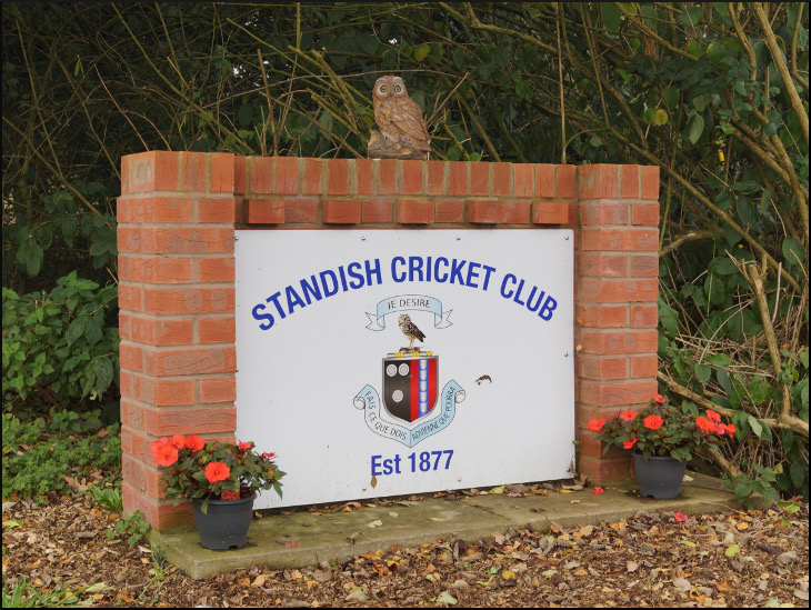 A new owl in Standish