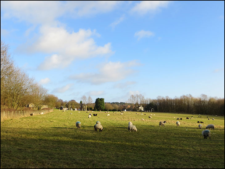 Farmland