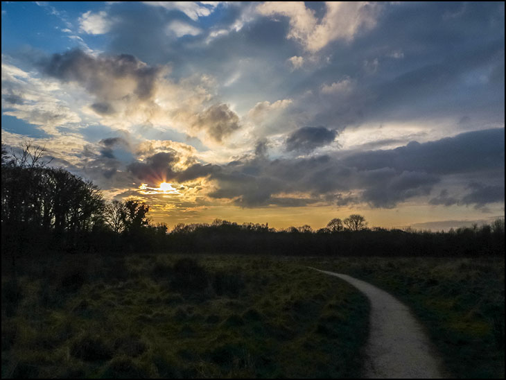 Lady Mabel's Wood