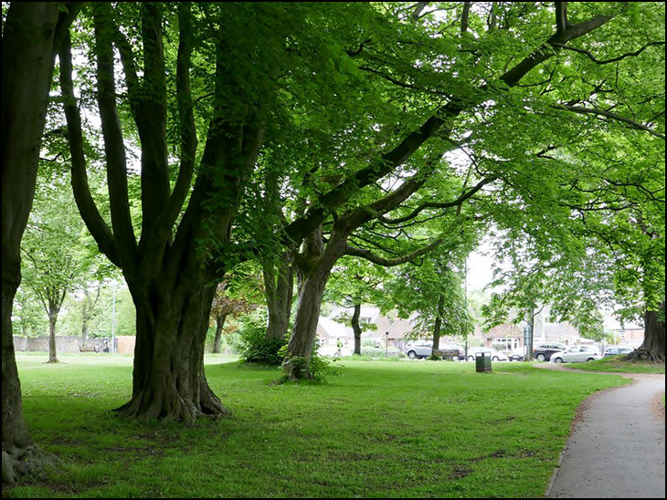 Marylebone Park