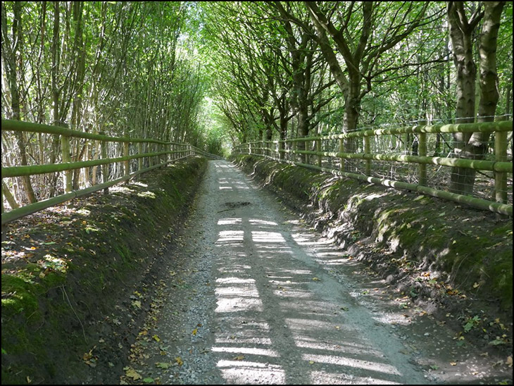 Standish Wood Lane