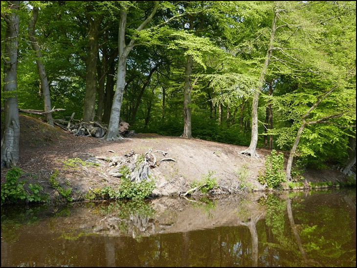 Otters Croft wood