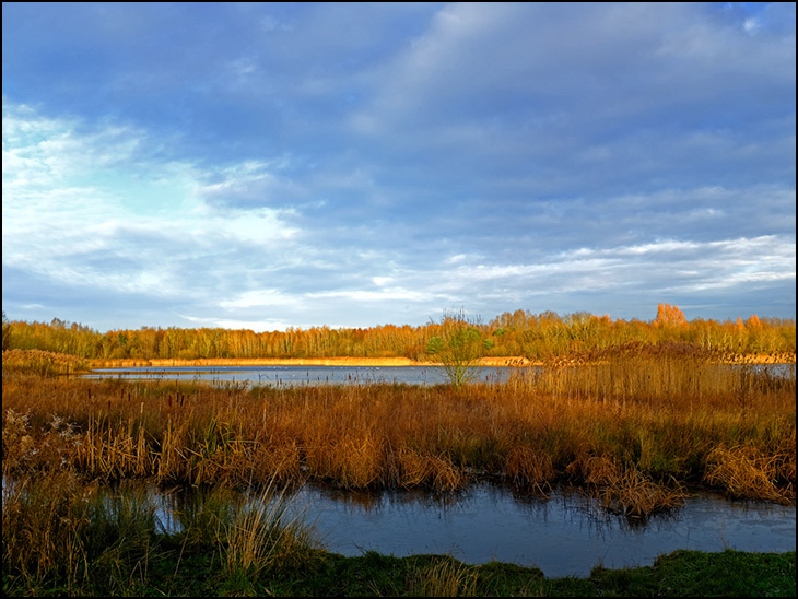 Amberswood lake