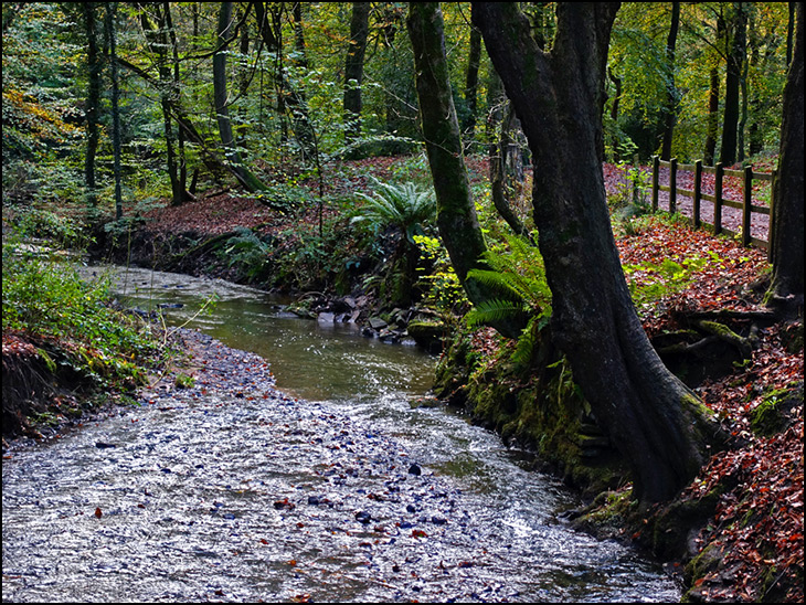 Borsdane Wood