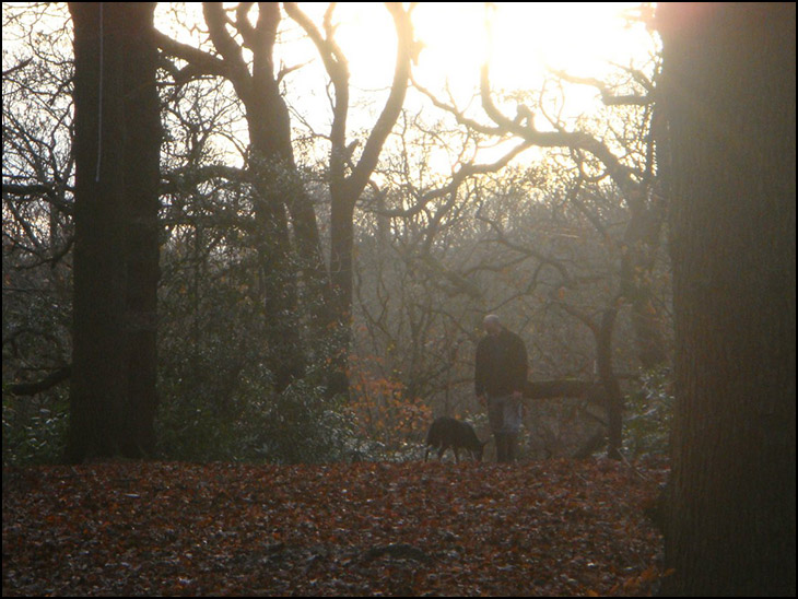 One Man and his Dog