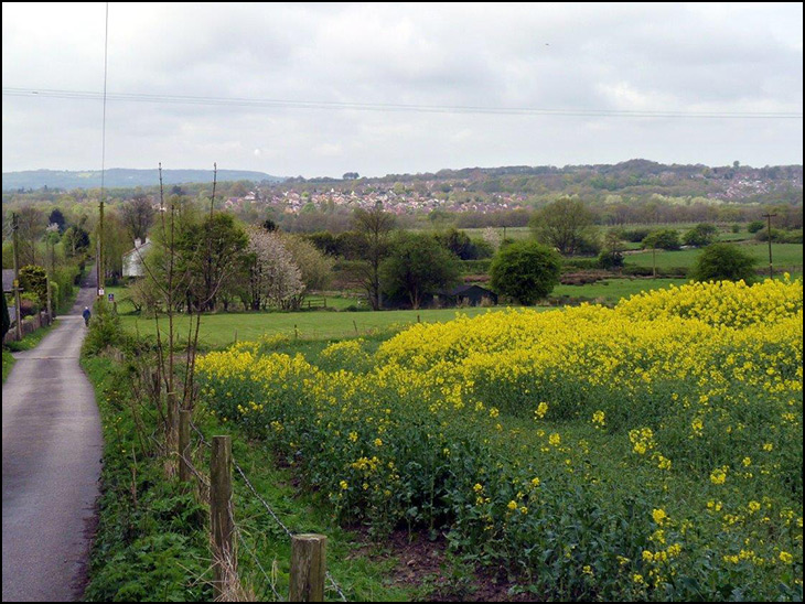 Pendlebury Lane Haigh