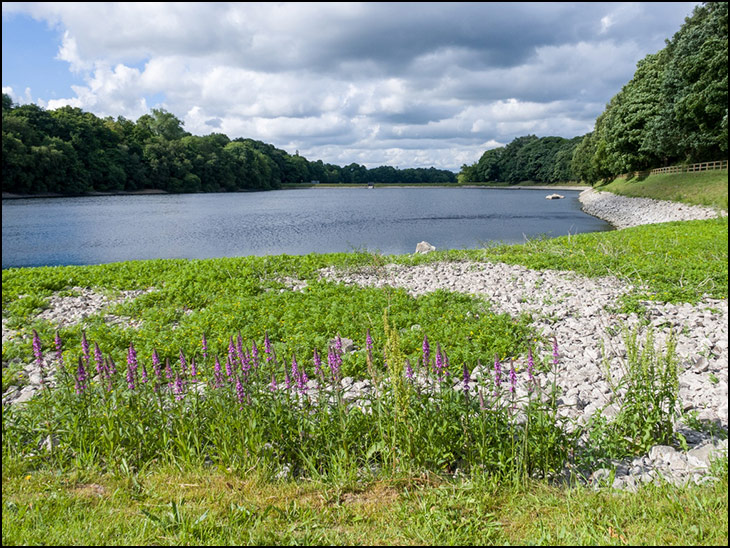 Worthington Reservoir