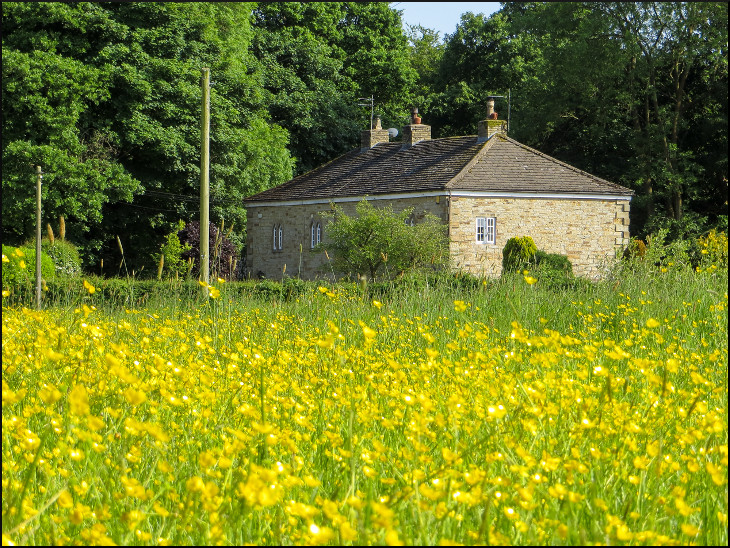 Alms Houses