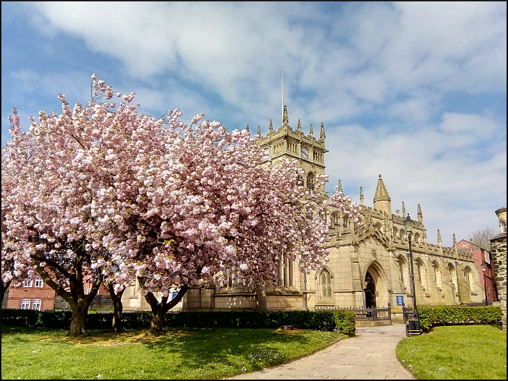 Blessed Blossom