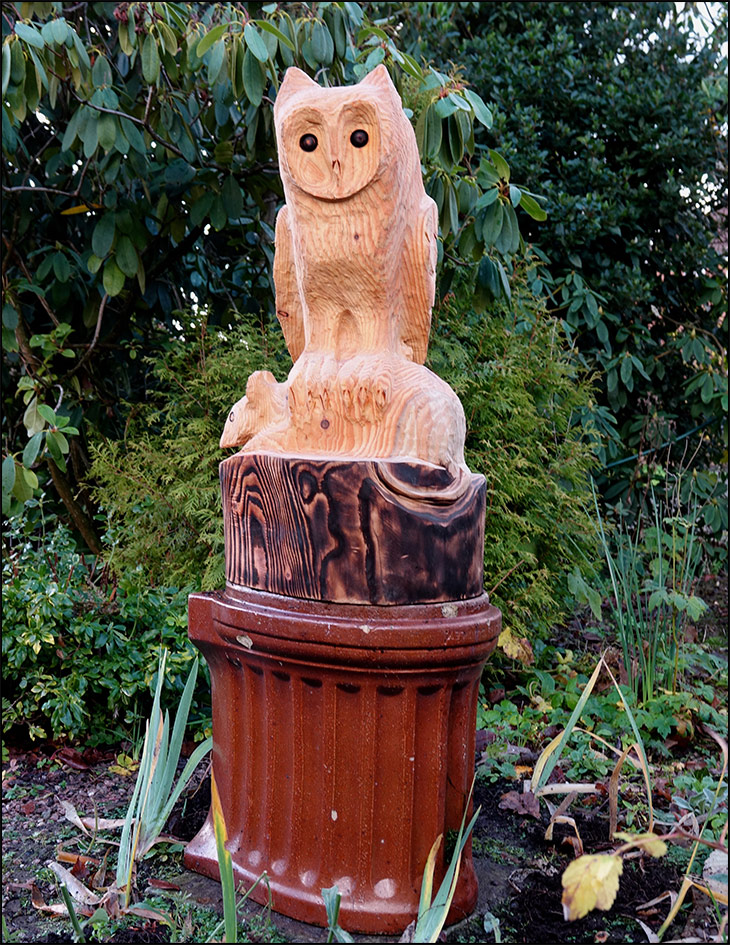 Owl, enthroned